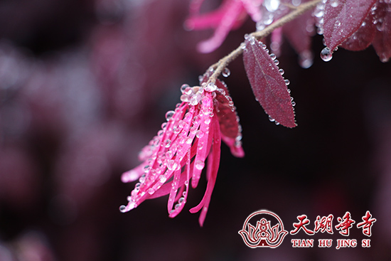 IMG_7670a.jpg
